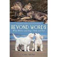 Beyond Words