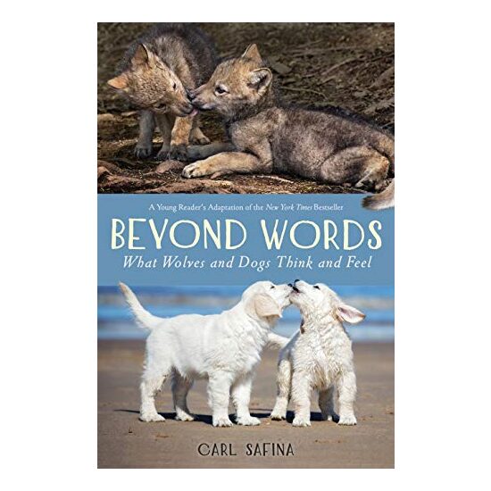 Beyond Words