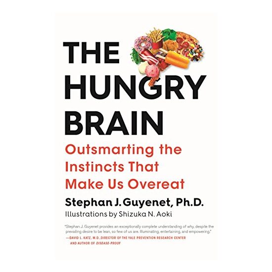 The hungry brain