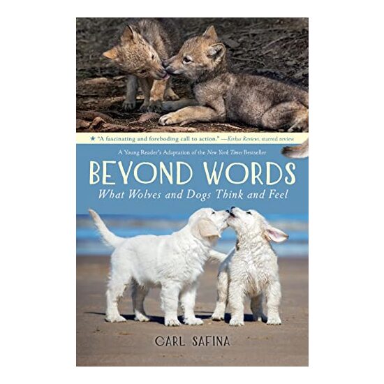 Beyond Words - Imagine 1