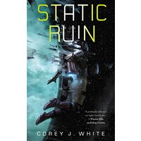 Static Ruin (The Voidwitch Saga)