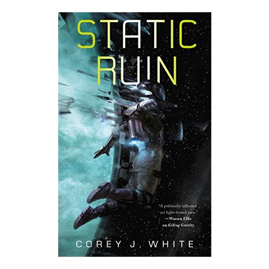 Static Ruin (The Voidwitch Saga)