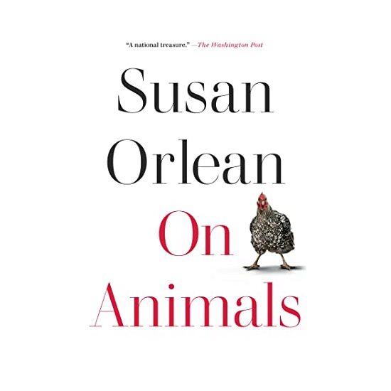 On Animals - Imagine 1