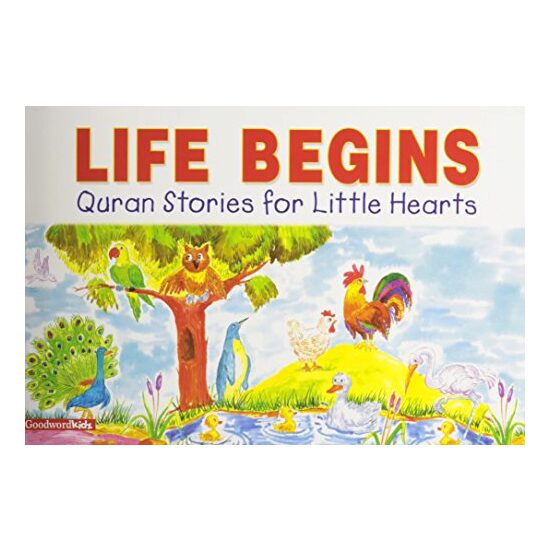 Life Begins - Imagine 1