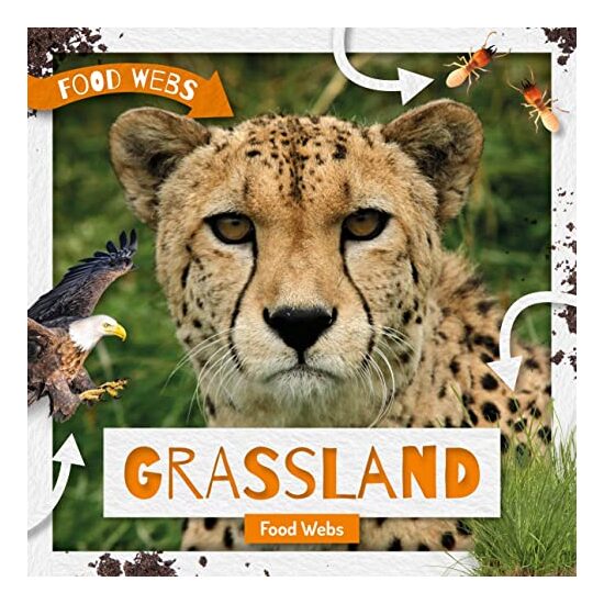 Grassland Food Webs - Imagine 1