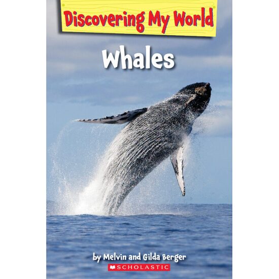 Discovering My World: Under the Sea: Whales
