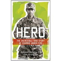 Johnson Beharry VC - soldier