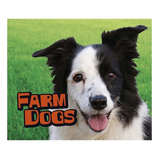 Farm Dogs (Pebble Plus: Farm Animals) - Imagine 1