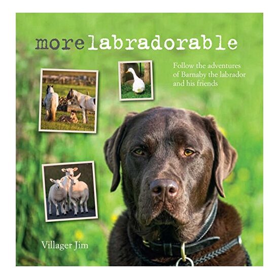 Morelabradorable - Imagine 1