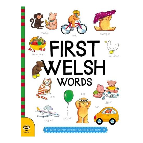 First Welsh Words (Welsh Edition)