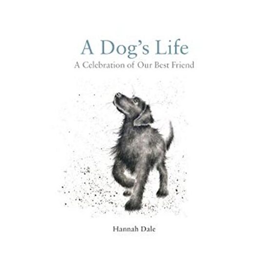 A Dog