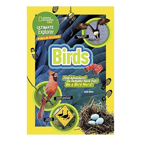 Birds - Imagine 1