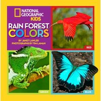 Rain Forest Colors