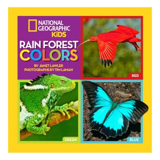 Rain Forest Colors - Imagine 1