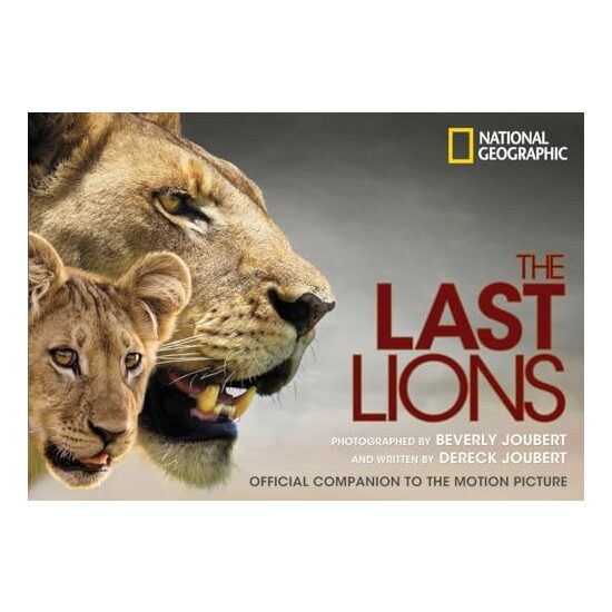 The last lions, Beverly Joubert