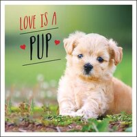 Love Is a Pup, Charlie Ellis