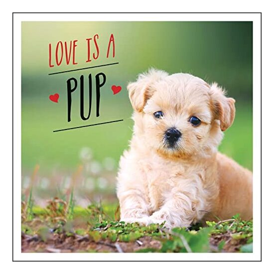Love Is a Pup, Charlie Ellis