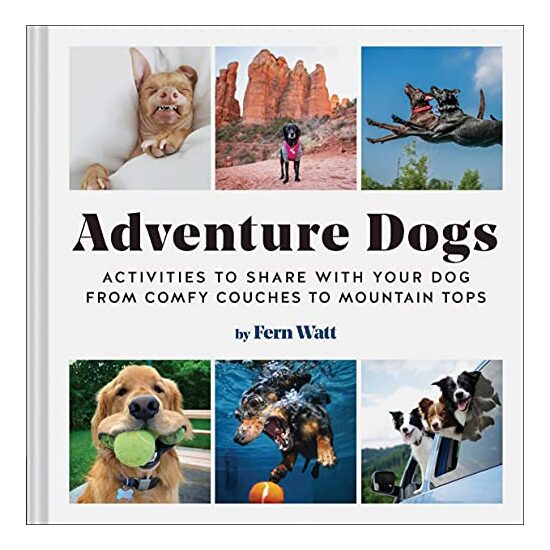 Adventure Dogs - Imagine 1