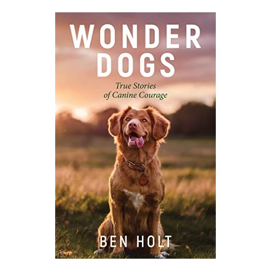 Wonder Dogs - Imagine 1
