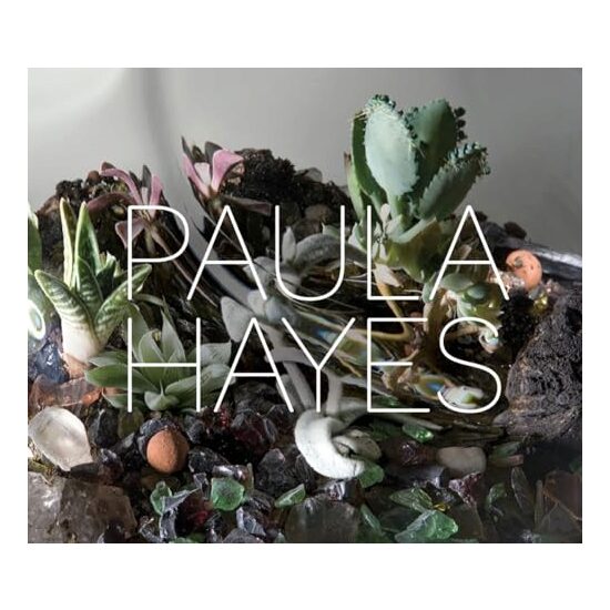 Paula Hayes