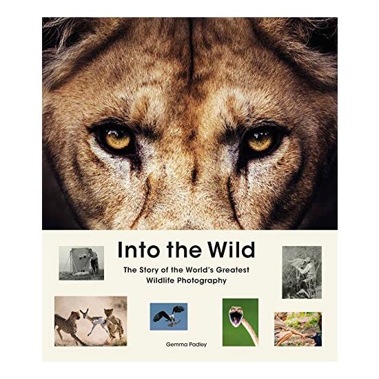 Into the Wild - Imagine 1