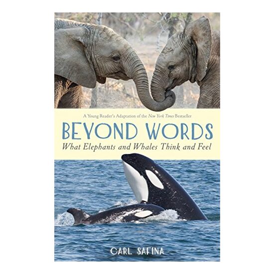 Beyond Words - Imagine 1
