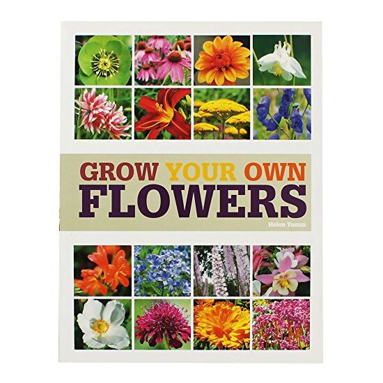 Grow your own flowers
