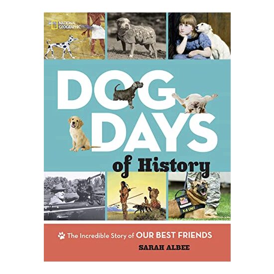 Dog Days of History - Imagine 1