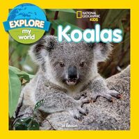 Explore My World Koalas, Jill Esbaum