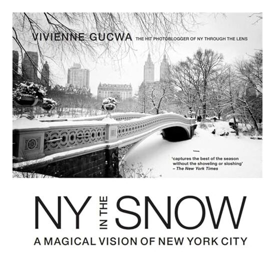 New York in the Snow, Vivienne Gucwa