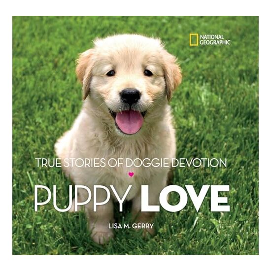 Puppy Love - Imagine 1