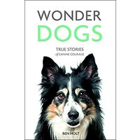 Wonder Dogs