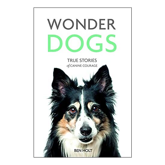 Wonder Dogs - Imagine 1