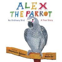 Alex the Parrot : No Ordinary Bird, Stephanie Spinner
