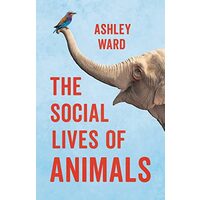 Social Lives of Animals