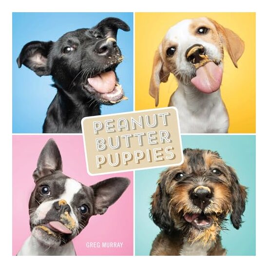 Peanut Butter Puppies - Imagine 1