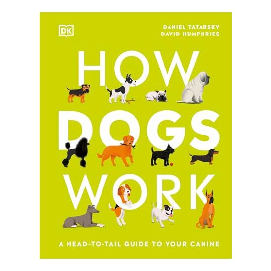 How Dogs Work, Daniel Tatarsky, David Humphries - Imagine 1