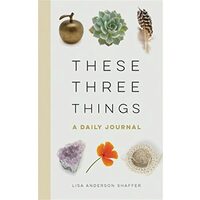 These Three Things, Lisa Anderson Shaffer