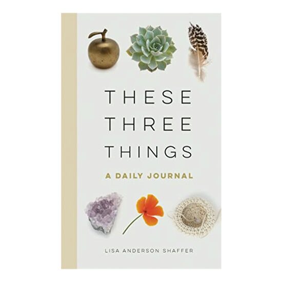 These Three Things, Lisa Anderson Shaffer