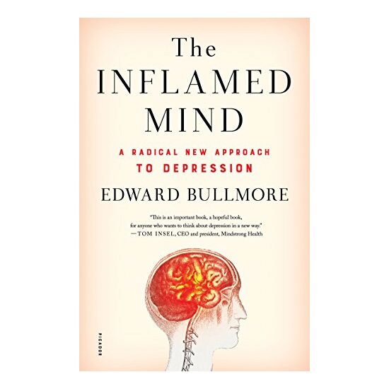 The Inflamed Mind, Edward Bullmore