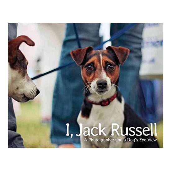 I, Jack Russell - Imagine 1