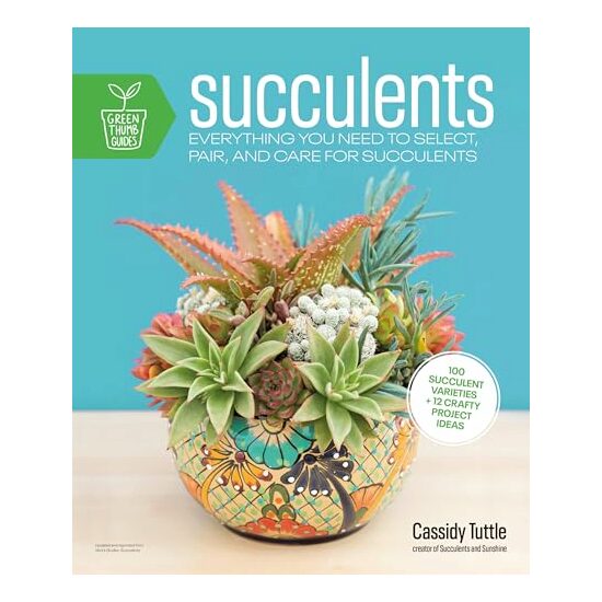 Succulents, Cassidy Tuttle