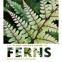The plant lover's guide to ferns