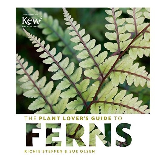 The plant lover's guide to ferns