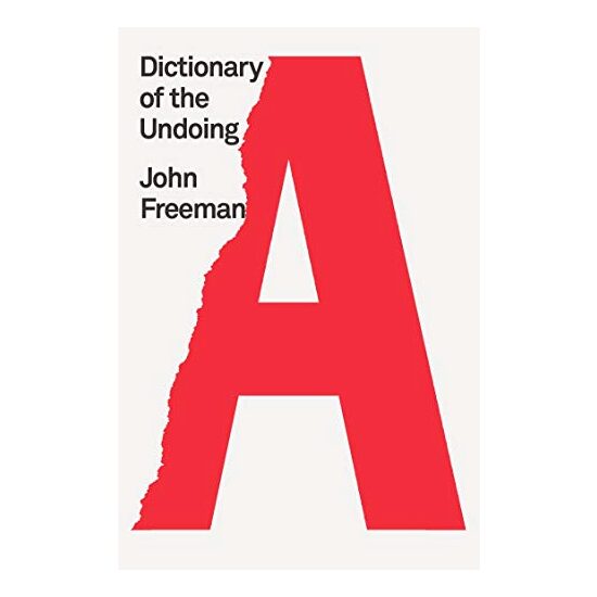 Dictionary of the Undoing - Imagine 1