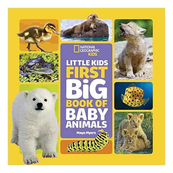 Little Kids First Big Book of Baby Animals, National Geographic Kids