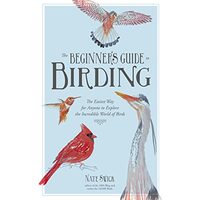 Beginner's Guide to Birding