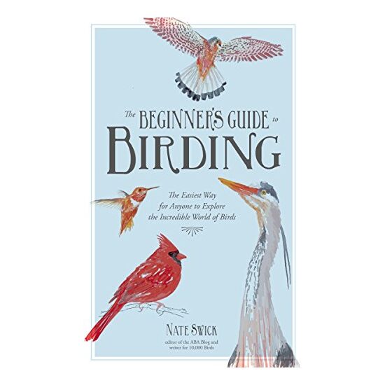 Beginner's Guide to Birding
