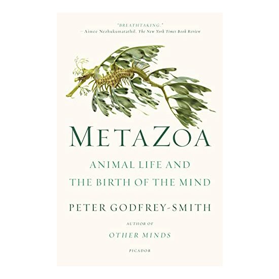 Metazoa, Peter Godfrey-Smith