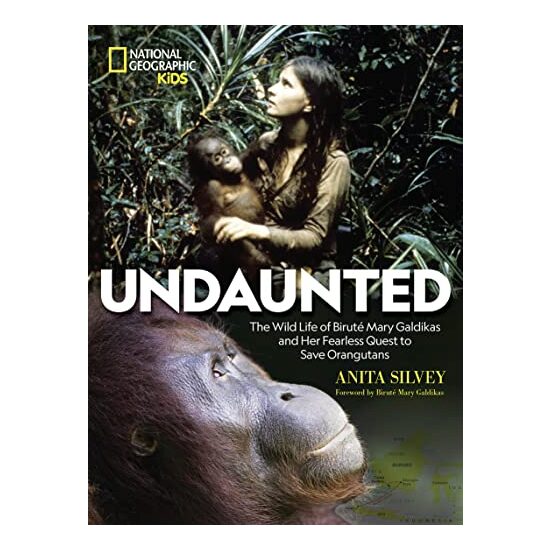 Undaunted - Imagine 1